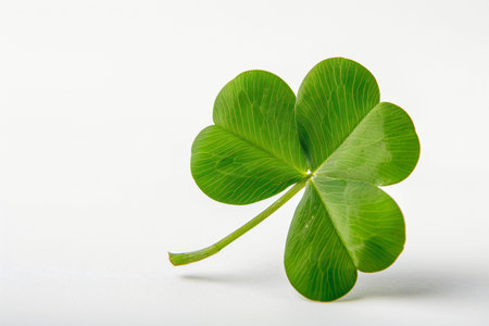 Clover leaf isolated on white background. St. Patrick's Day