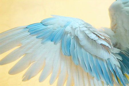 close up of white and blue parrot wings isolated on yellow backgroundの写真素材