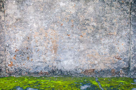 Old cement wall texture with green mos for background useの写真素材