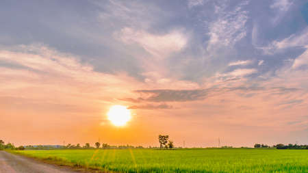 Soft focus landscape of cloudy sky and orange sun light with young green paddy rice field and rural road in Thailandの写真素材