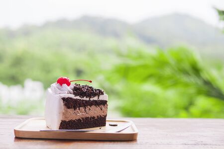 Chocolate cake with soft focused mountain nature backgroundの写真素材