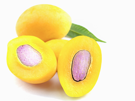 Ma prang, mayongchid, plum mango, marian mango or bouea macrophylla with its leaves, selective focus over white backgroundの写真素材