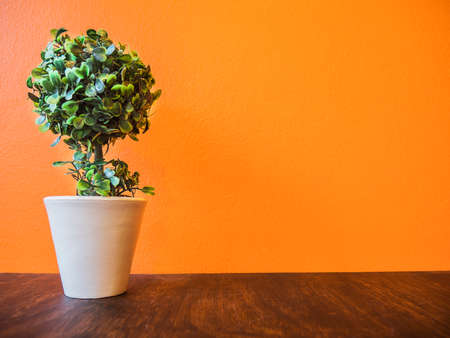 Orange wall and wooden table top with small green tree decoration backgroundの写真素材