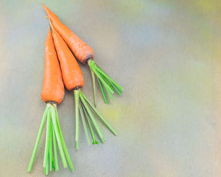 Fresh carrotの写真素材