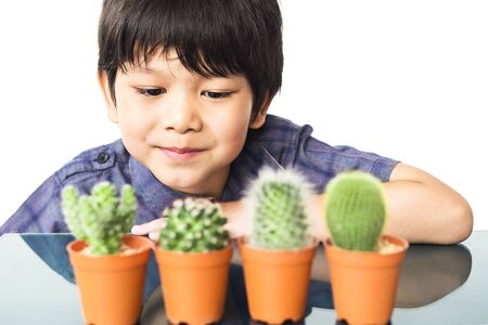 Asian lovely boy is planting small cactus isolated over whiteの写真素材