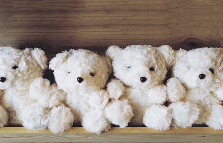 Vintage photo of lovely bears doll on wooden shelf background