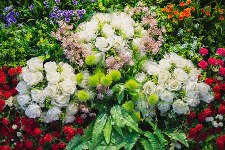colourful decorated flower garden - flower garden background picture