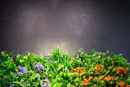 colourful decorated flower garden with grey copy space on top and warm shiny spot light - flower garden background pictureの写真素材