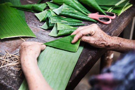 Old grandmother hands working with banana leaf for making flowers container - people making...