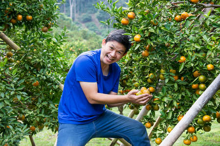 Young man happy harvesting fresh orange fruit garden in hilly area Chiangmai, Thailand