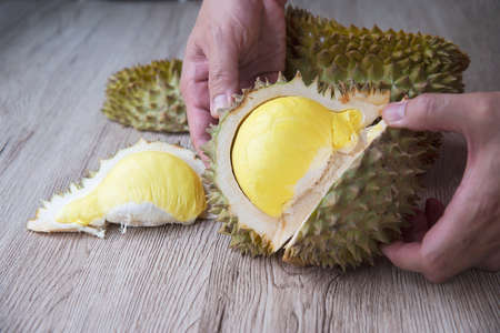 Ripe durian ready to eat, Thailandの写真素材