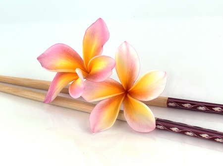 colorful plumeria flower isolated on whiteの写真素材
