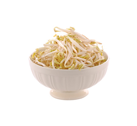 Bean Sprouts in the white bowlの写真素材