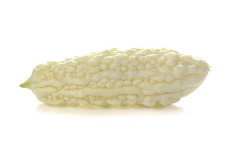 White bitter cucumber on white backgroundの写真素材