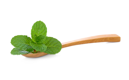 fresh green mint leaves isolated on white backgroundの写真素材