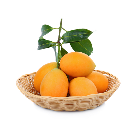 sweet Marian plum thai fruit on white background (Mayongchid Maprang Marian Plum and Plum...