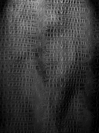 Black and white crocodile leather