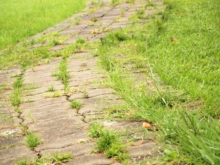 Stone pathway