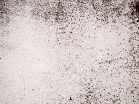 Old wall background, has a fibrous Suitable for backgroundの写真素材