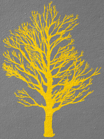 Tree on brown cement wallの写真素材