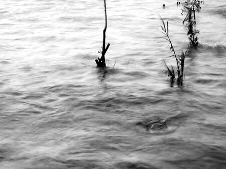 Abstract image of a swiftly moving stream in shades of black-whiteの写真素材