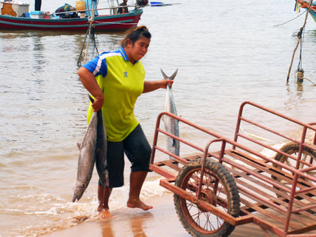 CHUMPHON, THAILAND - SEPTEMBER 22 : Unidentified fishermen are carry fish to keep the cart on September 22, 2012 at Chumphon Thailandのeditorial素材