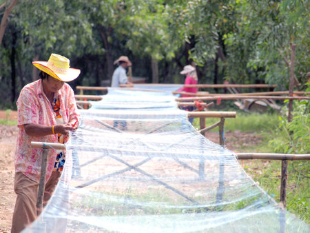 RAYONG, THAILAND  - AUGUST 13 - People mends the mesh of their fishing net on August 13, 2012 at Rayong, Thailandのeditorial素材