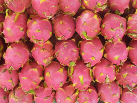 Dragon fruit on market stand, Thailandの写真素材
