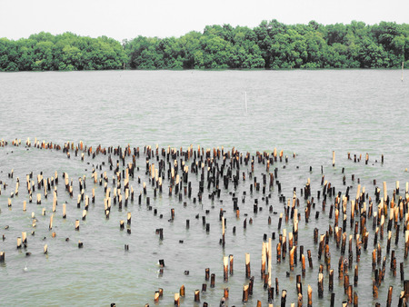 Wave bamboo barrier