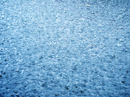 Rain drops in the water 