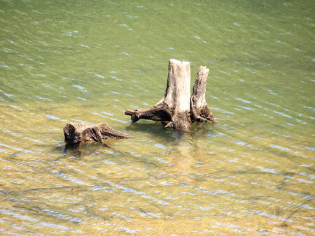 Old timber on the riverの写真素材
