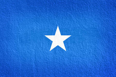 Somalia Flag on the wall textureの写真素材