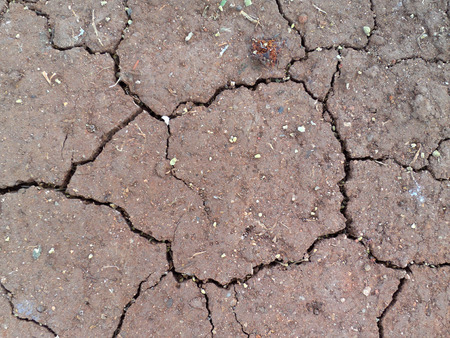 Top view shot of cracked soilの写真素材