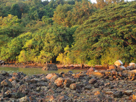 Pebble stones by the seaの写真素材