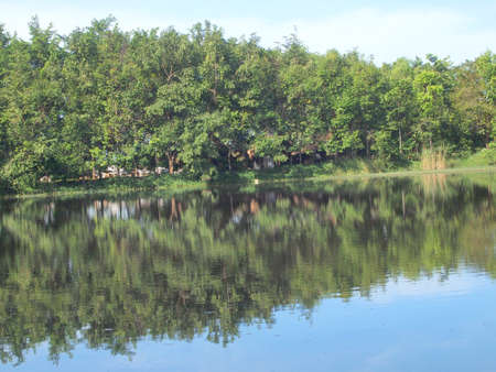 A small pond in the city park