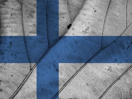 Finland flag leaf textureの写真素材