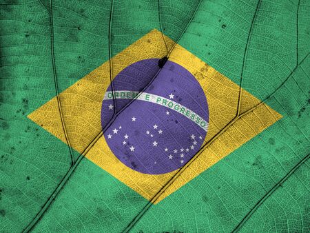brazil flag leaf textureの写真素材