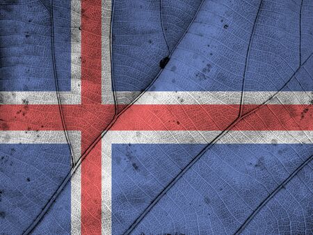 Iceland flag leaf textureの写真素材