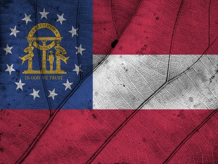 Georgia State flag leaf textureの写真素材