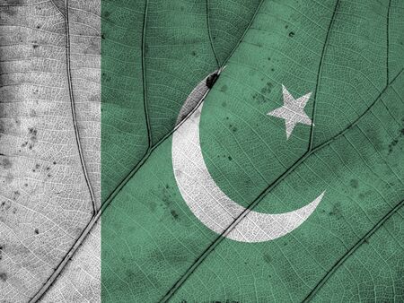 Pakistan flag leaf textureの写真素材