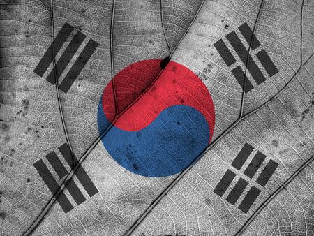South Korea flag leaf textureの写真素材