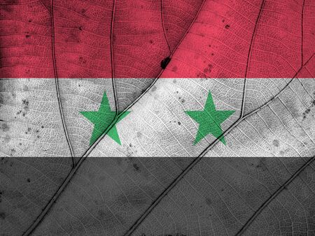 Syria flag leaf textureの写真素材