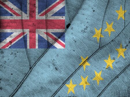 Tuvalu flag leaf textureの写真素材