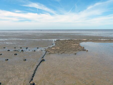 seascape in sunny day