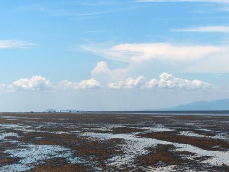 seascape in sunny day