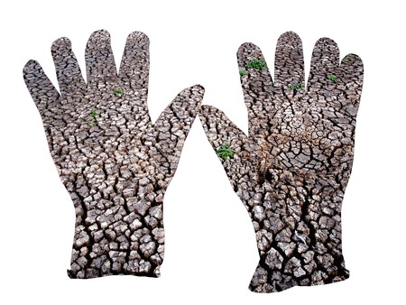 arid area by hands - environment concept