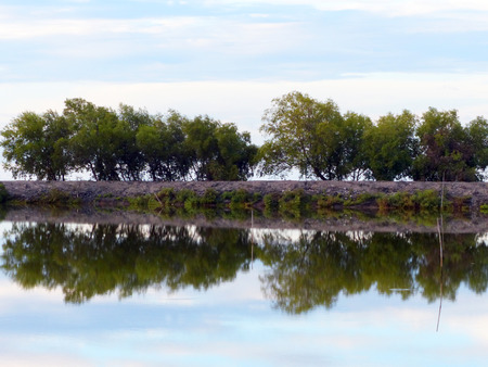 reflection of trees on lakeの写真素材