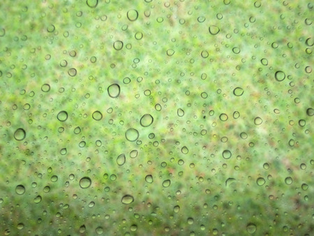 close up drops of rain on glass background. grass out of focus