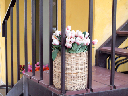 flowers pots decoration on stairの写真素材