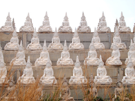 Sakeaw ,Thailand  - March 29 , 2015 : Row of White Buddha statue on the field for worship.のeditorial素材
